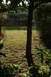 Double Room Jelsa 4041e