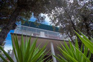 Apartments with a parking space Mandre, Pag - 4059 