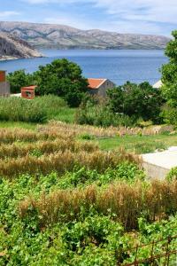 Apartments with a parking space Metajna, Pag - 4116