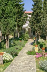 Apartments by the sea Novalja, Pag - 4052