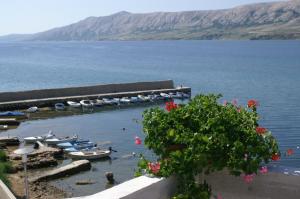 Apartment Zubovici 4130e