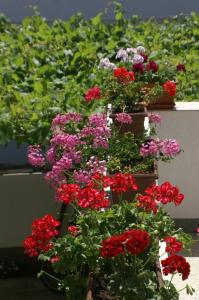 Apartments with parking space Vodice - 4192