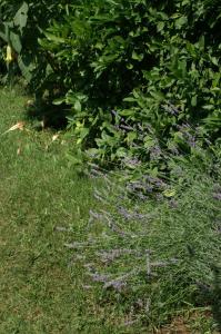 Apartment Vodice 4180b