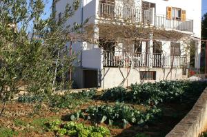 Apartments with parking space Biograd na Moru, Biograd - 4303