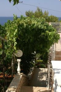 Apartment Bilo 4208d