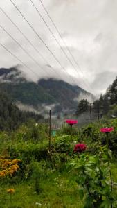 Snow View Guest House