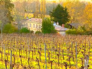 Villas FABULEUX - Domaine du Moulin D'Andraut Bordeaux-Chevaux-Golf-St Emilion : photos des chambres