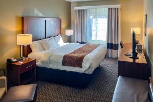 King Room - Non-Smoking room in Comfort Inn & Suites Midtown