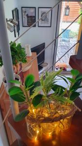 Appartements Strasbourg dans maison individuelle au calme : photos des chambres