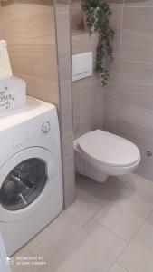 Clover Apartman