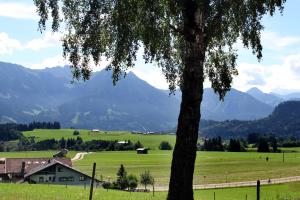 Bergzauber Alpin Suites - Skipiste - Private Sauna
