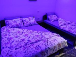 Vila Rajski kutak Kopaonik