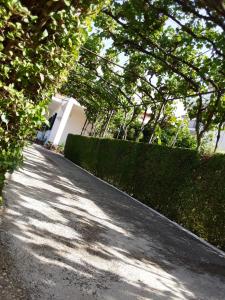 House 28
