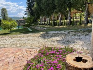 Комплекс Омайник