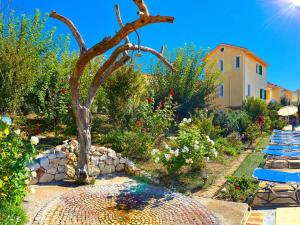 Alkyon Apartments & Villas Hotel Lefkada Greece