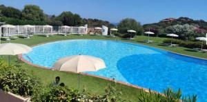 Casa Piccy
