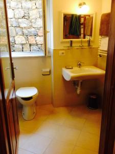 LOliveto dei Cinque Sensi