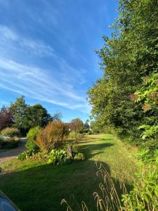 Chalets Au chalet Fleuri : photos des chambres