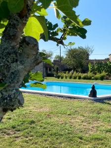 Maisons de vacances La Bastide des Sources : photos des chambres