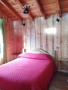 CABAÑAS EL DIUCO EN COÑARIPE 6