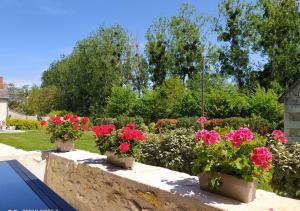 Maisons d'hotes Sur La Route Des Chateaux : photos des chambres