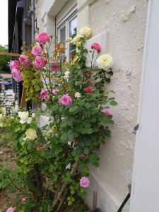 Maisons d'hotes Sur La Route Des Chateaux : photos des chambres