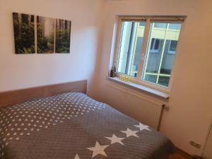 CARLO familienfreundliches 3-Raum Apartment auf der DOM-Insel