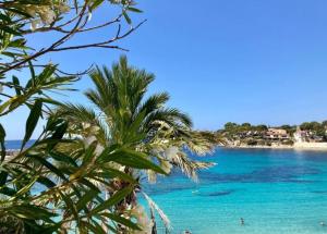 Appartements Studio BANDOL : photos des chambres