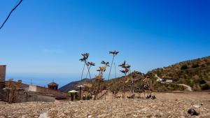 Casa Amigos Sorvilan - La Almendra