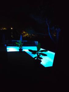B&B / Chambres d'hotes Au coeur de la Roque d'Antheron - Aux portes du Luberon : photos des chambres