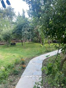 Xhos Forest Guest House