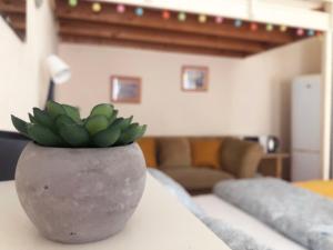 V57 APARTMENT OKTOGON