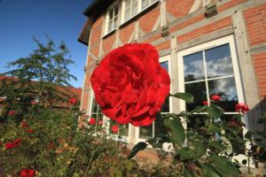 Comfort Double Room with Lake View room in Flair Seehotel Zielow
