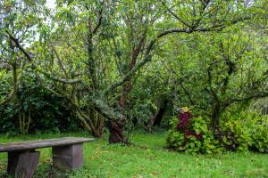 Cabinas las Manzanas Bed y Breakfast