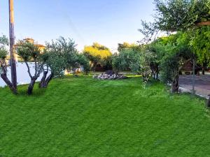 Oliviera - House in Nature