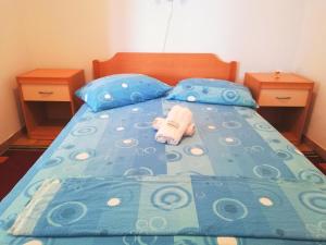 Apartments by the sea Cove Zarace - Gdinj, Hvar - 4596