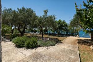 Family friendly seaside apartments Kozino, Zadar - 5756