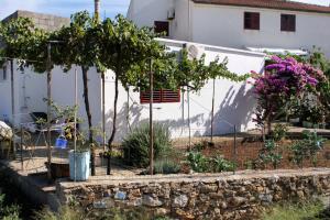 Apartments by the sea Sucuraj, Hvar - 5671