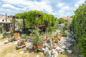 Apartments with parking space Razanac, Zadar - 5885