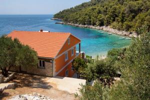 Seaside secluded apartments Cove Skozanje, Hvar - 5713