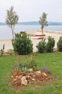 Family friendly seaside apartments Bibinje Zadar 5779
