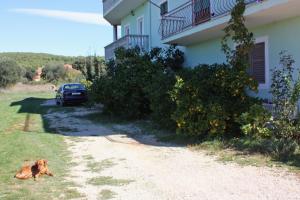 Apartments with parking spaces Bibinje, Zadar - 5753