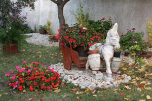 Apartments with parking space Zadar - Diklo, Zadar - 5875