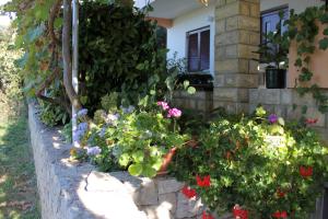 Family friendly seaside apartments Kozino, Zadar - 5749