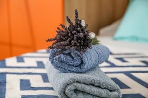 Apartments with parking space Jelsa, Hvar - 5703