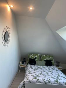 Appartements Logement convivial, charmant et spacieux : photos des chambres