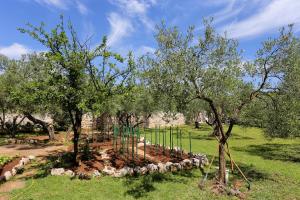 Apartments by the sea Lumbarda, Korcula - 4393