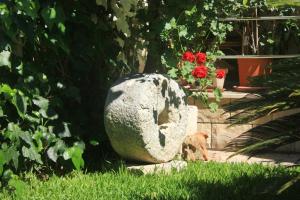 Apartment Orebic 4525c