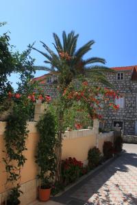 Apartment Orebic 4525c