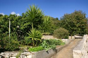 Apartment Vrbovica 4452c